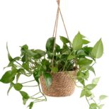 jardiniere-suspendue-avec-corde-de-jute-tissee-en-macrame-4