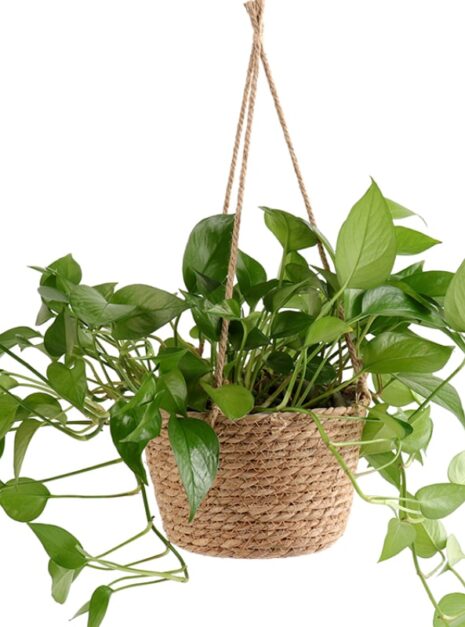 jardiniere-suspendue-avec-corde-de-jute-tissee-en-macrame-4 jardiniere-suspendue-avec-corde-de-jute-tissee-en-macrame-4